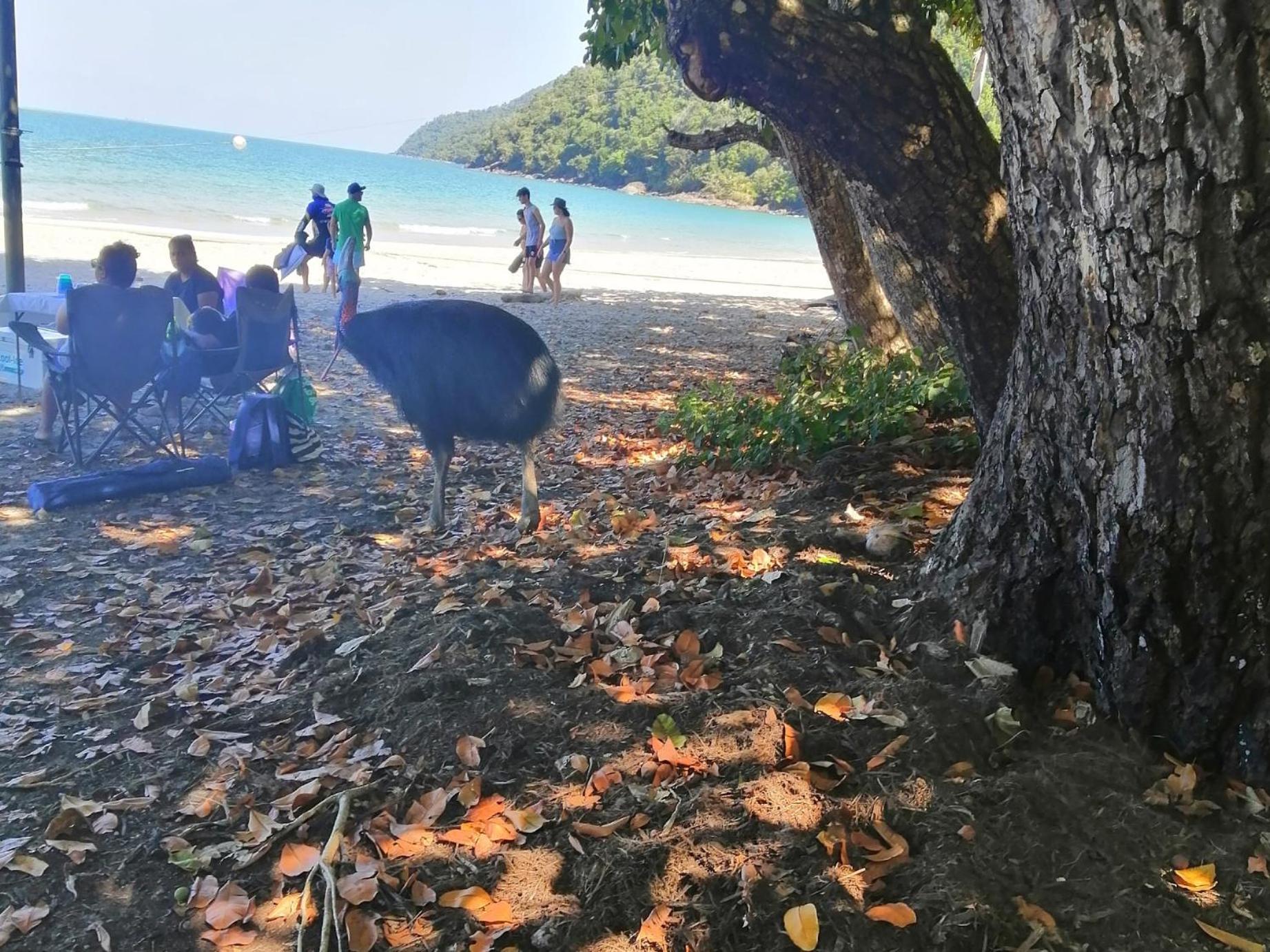 Possum Stay Innisfail Buitenkant foto